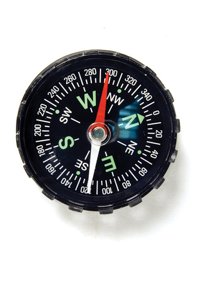 picture Levenhuk DC45 Compass