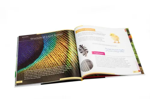 image Invisible World. Knowledge book. Hardcover,  10