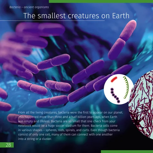 image Invisible World. Knowledge book. Hardcover,  5