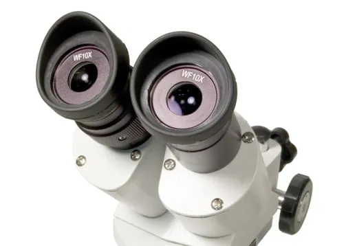 photo Levenhuk 3ST Microscope,  3