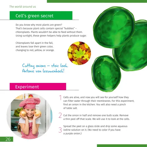 image Invisible World. Knowledge book. Hardcover,  4