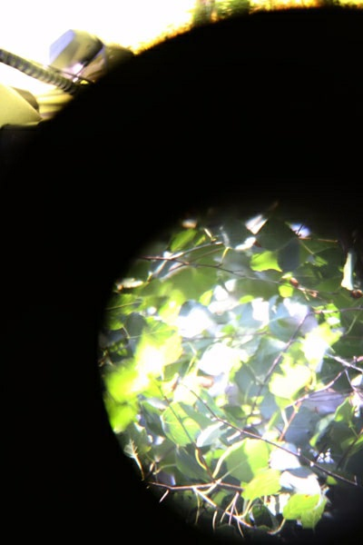 Levenhuk SkyMatic 127 GT MAK Review