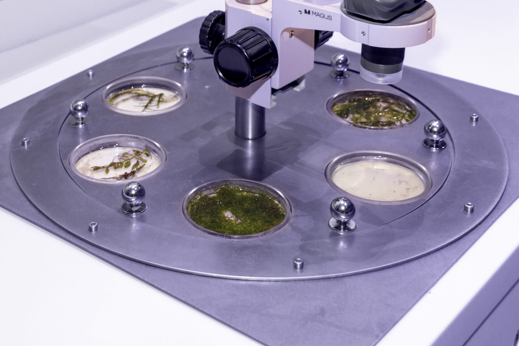 MAGUS in Museum Exhibitions museum_world_ocean_0.jpg